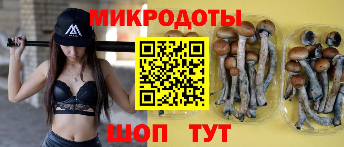 Усолье-Сибирское  Галлюциногенные грибы прущие грибы  Галлюциногенные грибы Psilocybine cubensis  Вход с VPN 